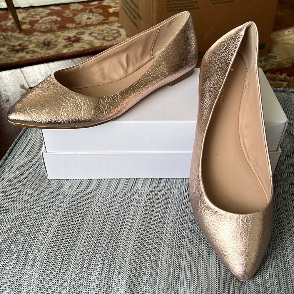 Elegant Metallic Flats